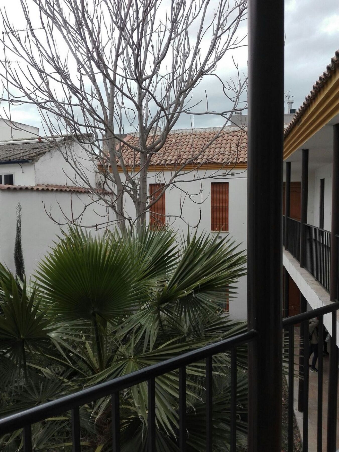 Apartamento Alfonso XII Κόρδοβα Εξωτερικό φωτογραφία